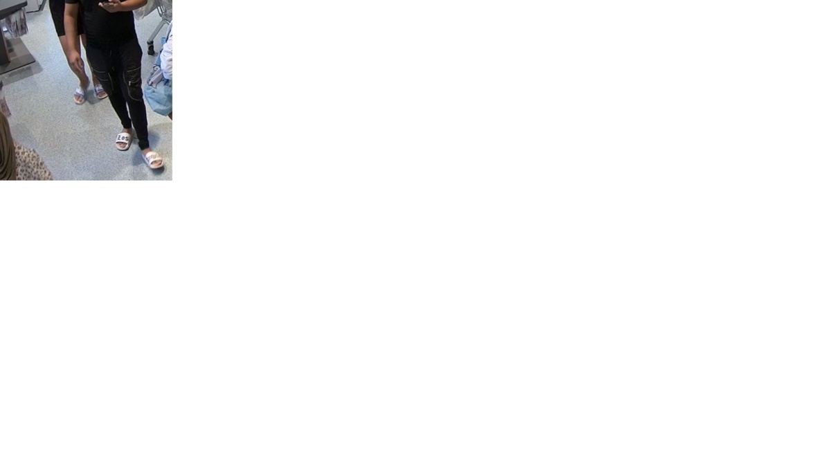 POL-SZ: Pressemitteilung der Polizeiinspektion SZ/PE/WF vom 28.10.2024. Fahndungsfoto im Anhang. - Foto: presseportal.de