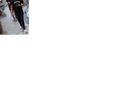 POL-SZ: Pressemitteilung der Polizeiinspektion SZ/PE/WF vom 28.10.2024. Fahndungsfoto im Anhang. - Foto: presseportal.de