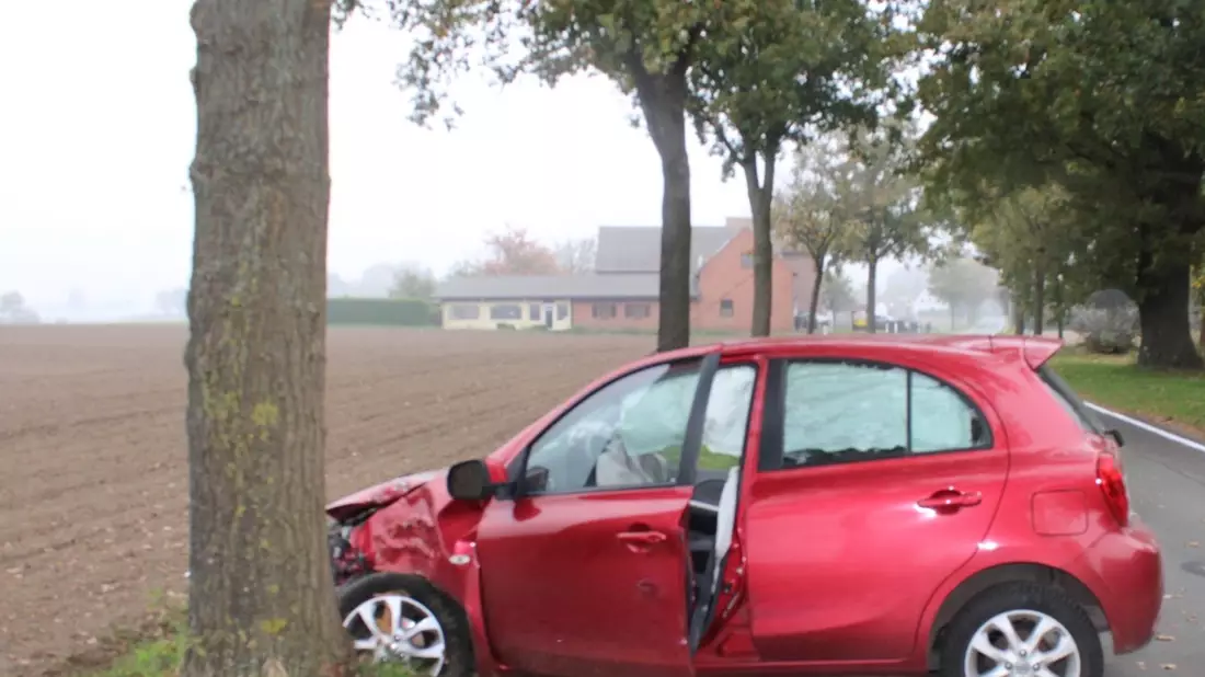 POL-MI: Kleinwagen prallt gegen Baum - Bild: presseportal.de
