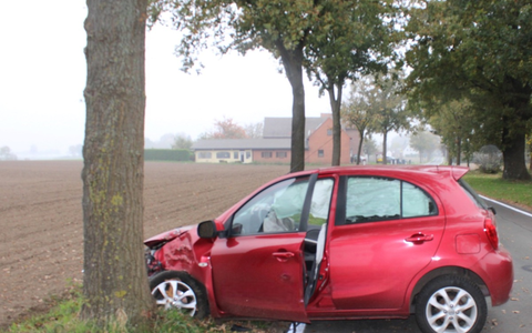 POL-MI: Kleinwagen prallt gegen Baum - Foto: presseportal.de