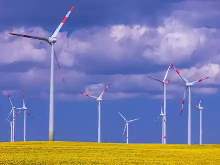 In den ersten neun Monaten wurden 19,6 Terawattstunden Strom mehr aus dem Ausland bezogen als umgekehrt aus Deutschland ins Ausland flossen. - Foto: Jens Büttner/dpa