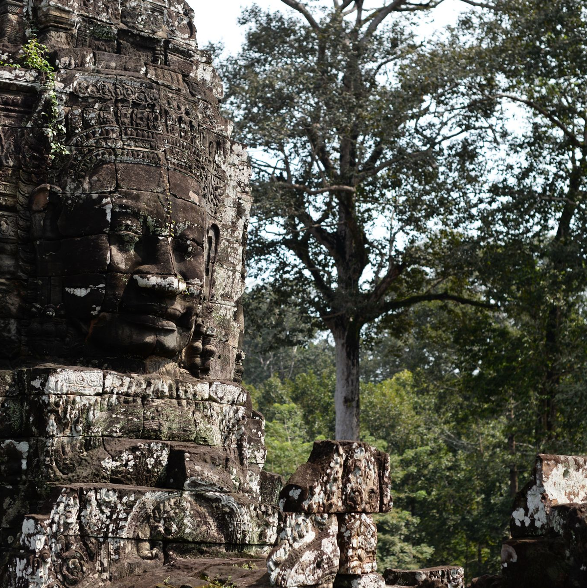 Der Tempel Bayon ist wegen seiner 200 in Stein gemeißelten lächelnden Gesichter weltberühmt. (Archivbild) - Foto: picture alliance / ZB