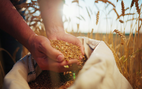 Landwirtschaft in der Ukraine - Foto: Shutterstock über pressetext.de