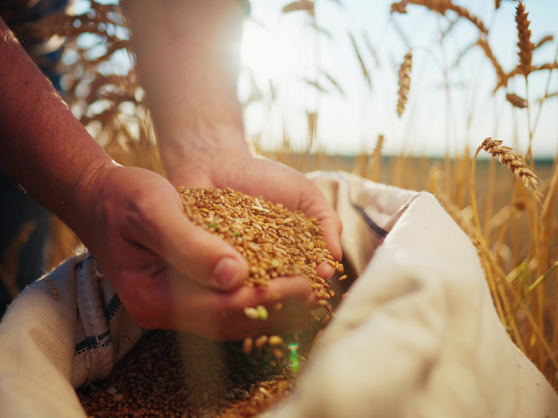 Landwirtschaft in der Ukraine - Foto: Shutterstock über pressetext.de