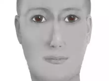 POL-KI: 241029.2 Altenholz: vollendetes Betrugsdelikt - sogenannter Schockanruf - Polizei veröffentlicht Phantombild des tatverdächtigen Abholers - Foto: presseportal.de