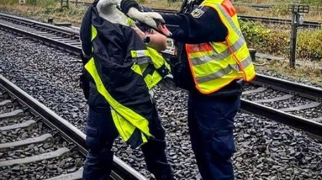 BPOL-KI: Bundespolizei - Schwan aus Gleisbereich gerettet - Bild: presseportal.de