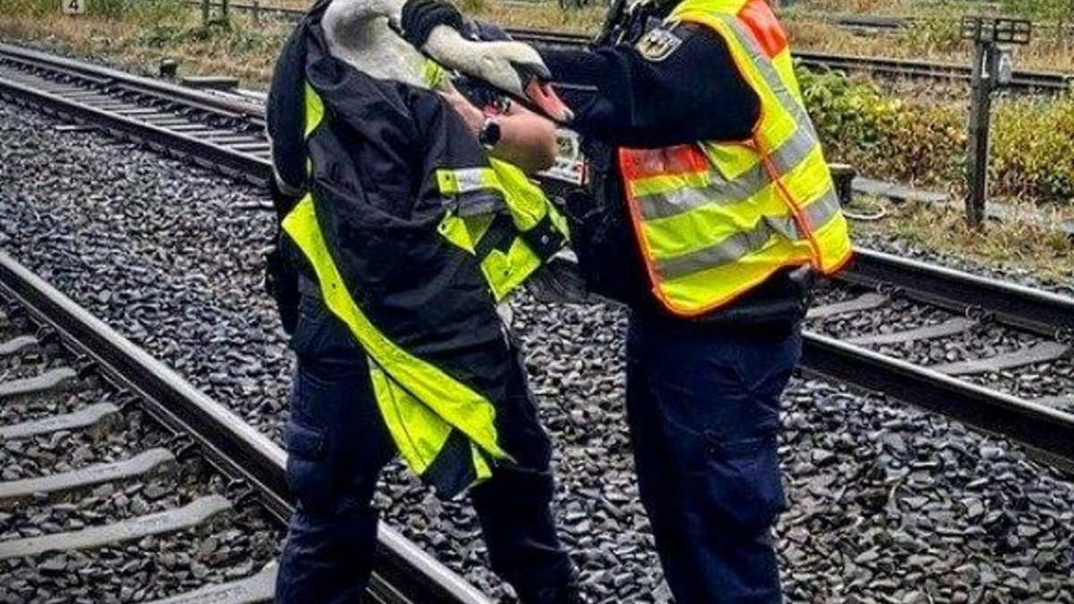 BPOL-KI: Bundespolizei - Schwan aus Gleisbereich gerettet - Foto: presseportal.de