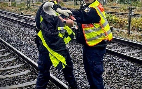 BPOL-KI: Bundespolizei - Schwan aus Gleisbereich gerettet - Foto: presseportal.de