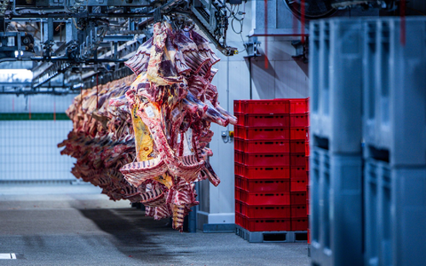 Der Schlachthof wurde am Montag zunächst geschlossen. (Symbolbild) - Foto: Jens Büttner/dpa