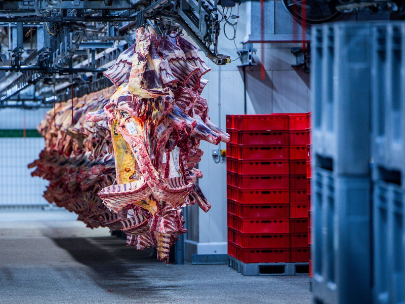 Der Schlachthof wurde am Montag zunächst geschlossen. (Symbolbild) - Foto: Jens Büttner/dpa