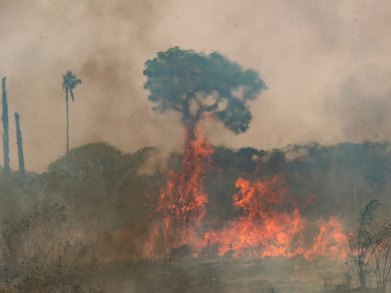 Der Klimawandel beeinträchtigt weltweit immer stärker die menschliche Gesundheit. (Archivbild) - Foto: Andre Penner/AP/dpa