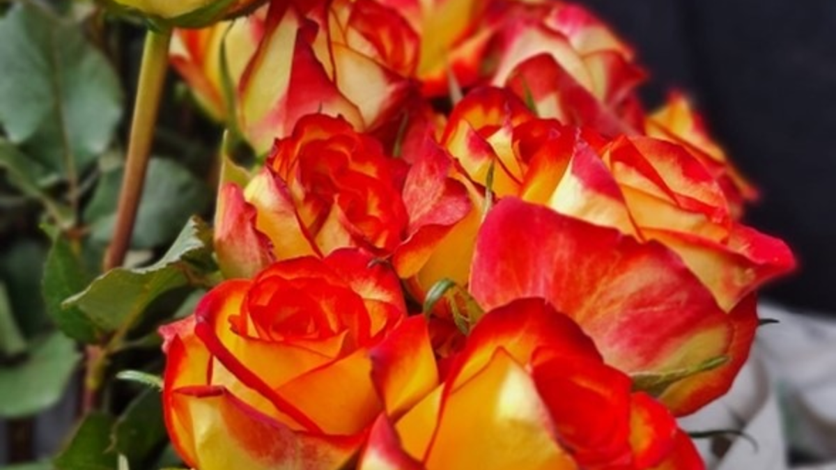 POL-OH: Erfolgreiche Zusammenarbeit zwischen Polizei und Schulkindern im Rahmen des Präventionsprogramms 