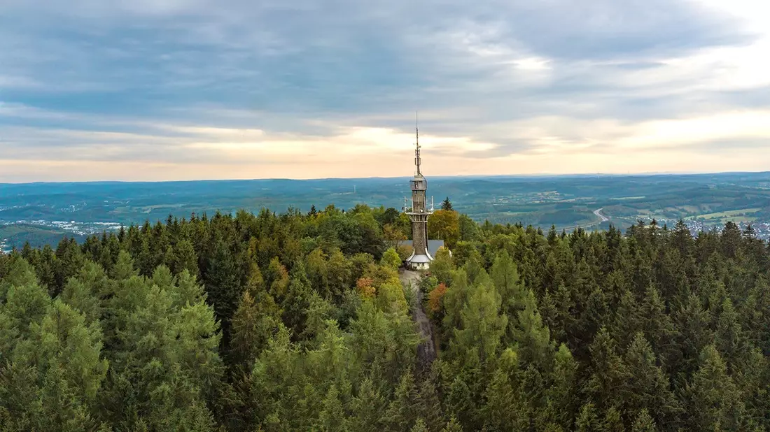 400.000 Bäume für den heimischen Wald - Krombacher Brauerei unterstützt Aufforstung und Schutz des Ökosystems in ihrer Heimatregion - Bild: presseportal.de