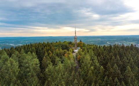 400.000 Bäume für den heimischen Wald - Krombacher Brauerei unterstützt Aufforstung und Schutz des Ökosystems in ihrer Heimatregion - Foto: presseportal.de
