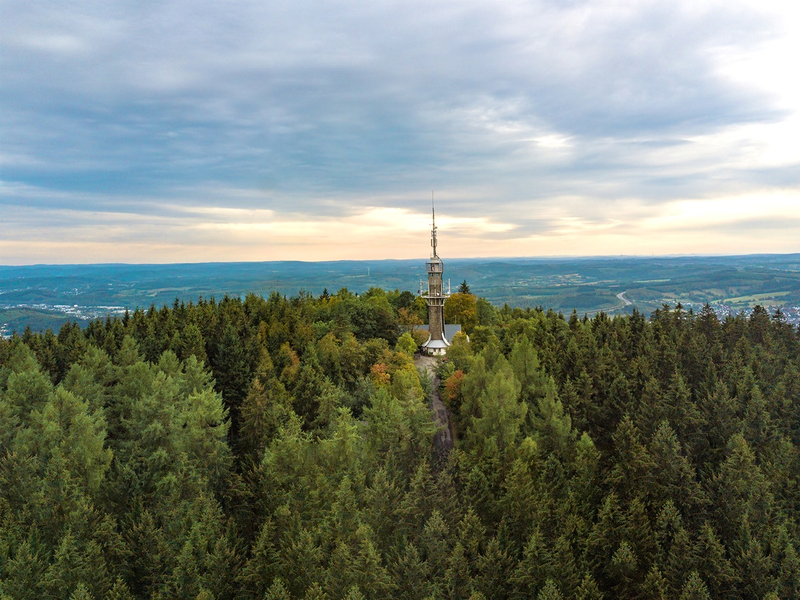 400.000 Bäume für den heimischen Wald - Krombacher Brauerei unterstützt Aufforstung und Schutz des Ökosystems in ihrer Heimatregion - Foto: presseportal.de
