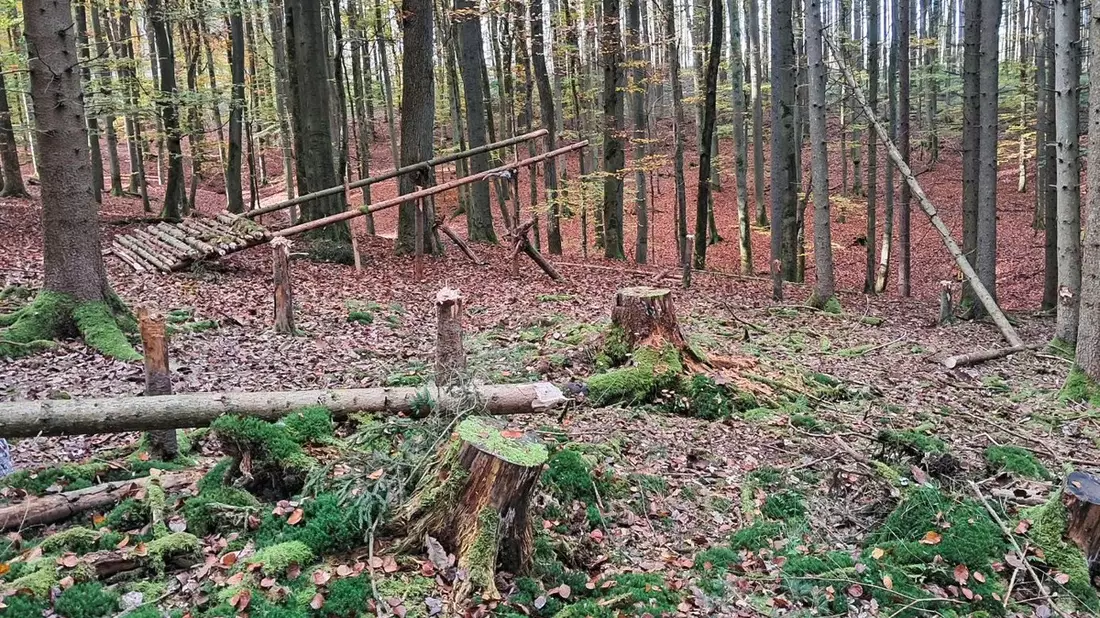 POL-MR: Fichten gefällt und Gebilde gebaut + Garagen besprüht + Lampe und Schrank entwendet - Bild: presseportal.de
