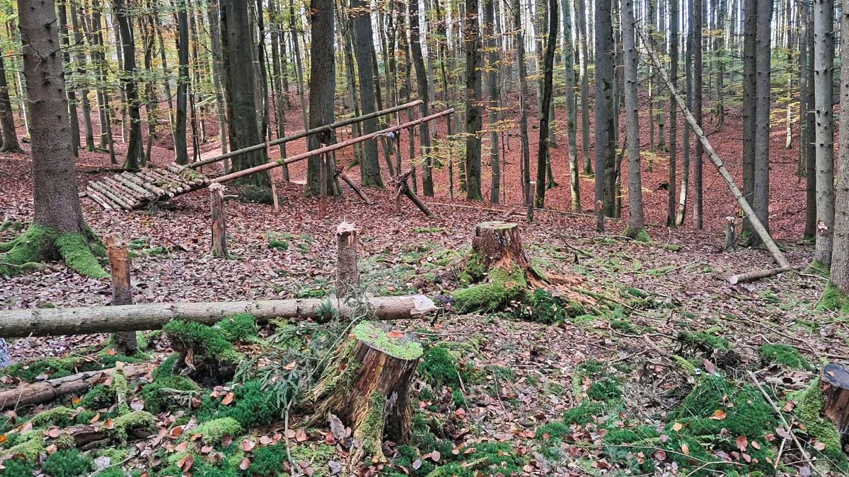POL-MR: Fichten gefällt und Gebilde gebaut + Garagen besprüht + Lampe und Schrank entwendet - Foto: presseportal.de