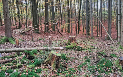 POL-MR: Fichten gefällt und Gebilde gebaut + Garagen besprüht + Lampe und Schrank entwendet - Foto: presseportal.de