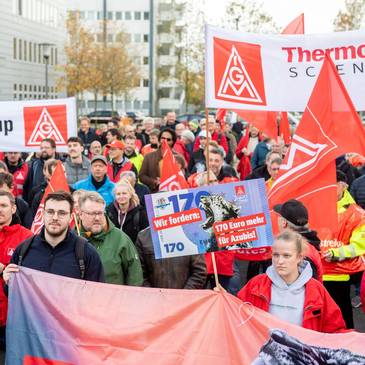 Die IG Metall organisiert weitere Warnstreiks.  - Foto: Hauke-Christian Dittrich/dpa