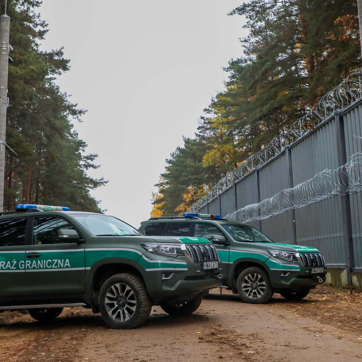 Am Mittwoch hat Bundesinnenministerin Nancy Faeser (SPD) Polens Grenze zu Belarus besucht. Die EU wirft Russland vor, gezielt irreguläre Migranten über Belarus in die Europäische Union zu lotsen.  - Foto: Artur Reszko/PAP/dpa