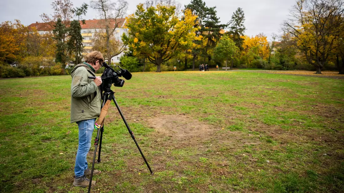 Im Park Thomashöhe haben Experten Sprengstoff gesprengt (Archivfoto). - Bild: Christoph Soeder/dpa