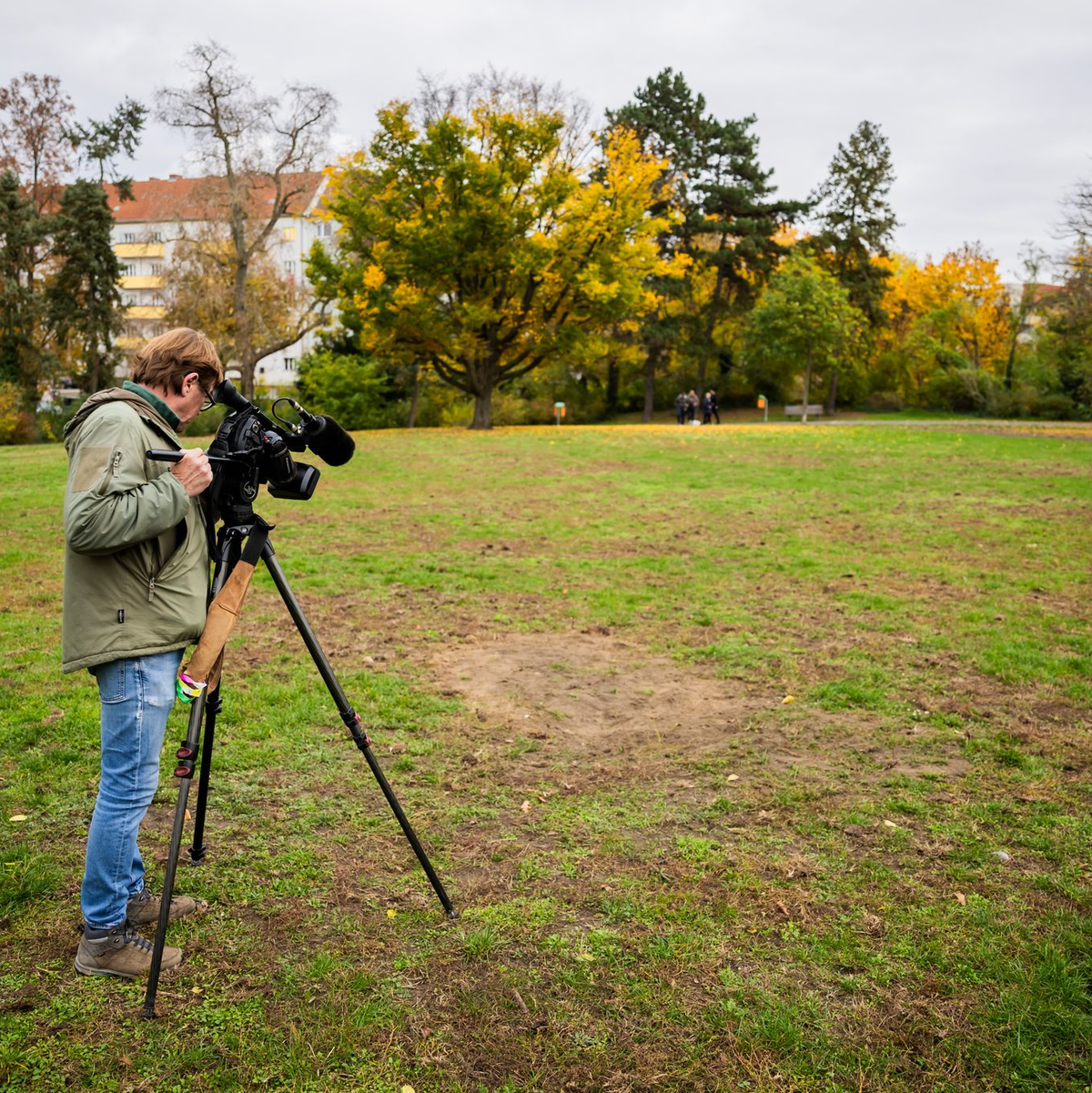 Im Park Thomashöhe wurde der Sprengstoff kontrolliert gesprengt.  - Foto: Christoph Soeder/dpa
