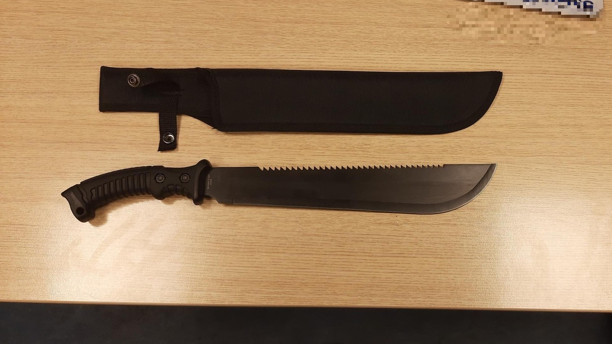 BPOL-HH: Jugendlicher ohne Fahrschein, aber mit Machete im Zug- Sicherstellung durch Bundespolizei- - Foto: presseportal.de