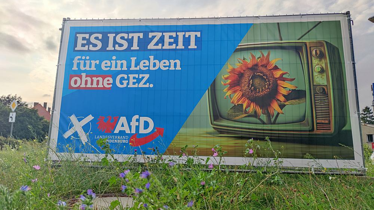 AfD-Wahlplakat zur Landtagswahl in Brandenburg (Archiv) - Foto: über dts Nachrichtenagentur