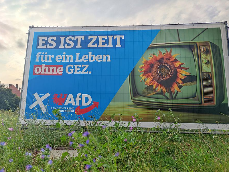 AfD-Wahlplakat zur Landtagswahl in Brandenburg (Archiv) - Foto: über dts Nachrichtenagentur