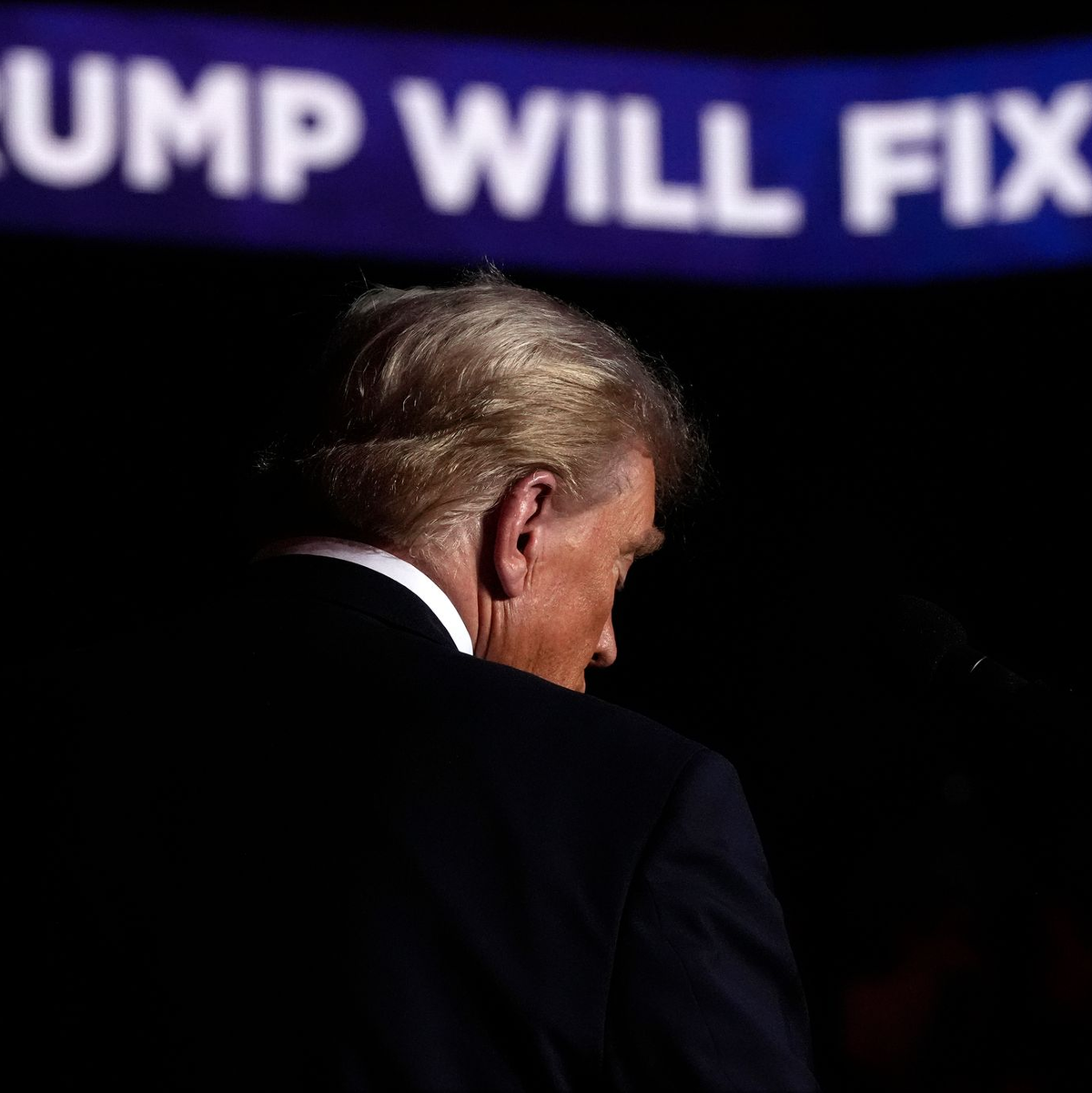 Trump verspricht seinen Anhängern, Fehler der heutigen Regierung zu korrigieren. - Foto: Julia Demaree Nikhinson/AP/dpa