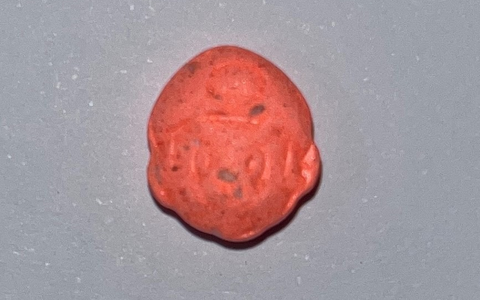 POL-HST: 2. Nachmeldung: 15-JĂ€hriger in Zingst nach medizinischem Notfall verstorben - Foto: presseportal.de POL-HST: 2. Nachmeldung: 15-JĂ€hriger in Zingst nach medizinischem Notfall verstorben - Foto: presseportal.de