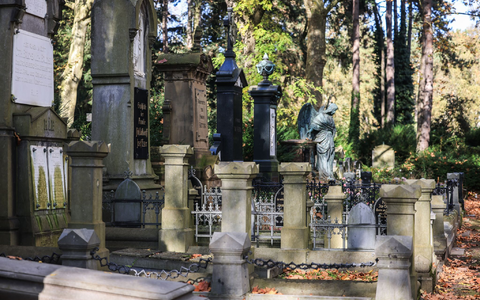 Der Alterungseffekt der Bevölkerung hat  auch Auswirkungen auf die Bestattungsbranche. (Archivbild) - Foto: Oliver Berg/dpa