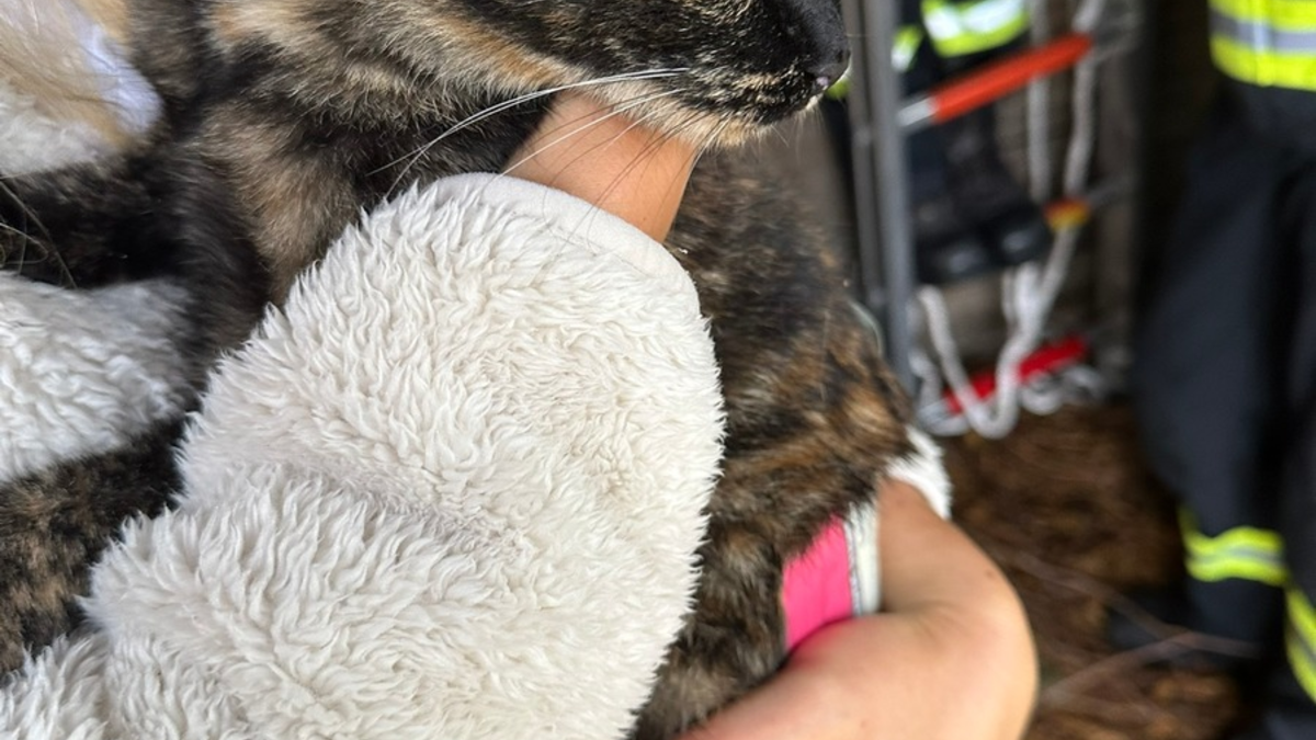 FW-WRN: Freiwillige Feuerwehr Werne wird innerhalb von 24 Stunden zu 7 Einsätzen gerufen - Foto: presseportal.de