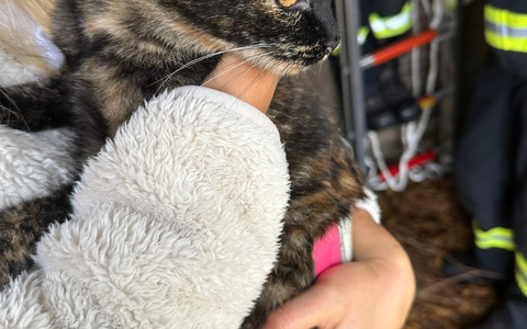 FW-WRN: Freiwillige Feuerwehr Werne wird innerhalb von 24 Stunden zu 7 Einsätzen gerufen - Foto: presseportal.de