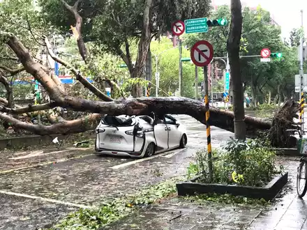 In Taiwan hat der Taifun «Kong-rey» für Verwüstung gesorgt. - Foto: Yu-Tzu Chiu/dpa