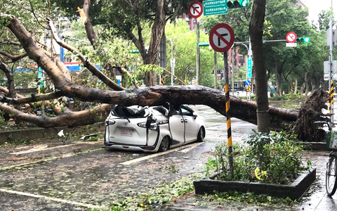 In Taiwan hat der Taifun «Kong-rey» für Verwüstung gesorgt. - Foto: Yu-Tzu Chiu/dpa