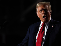 Trump ist für seine aggressive Rhetorik bekannt. (Archivbild) - Foto: Julia Demaree Nikhinson/AP/dpa