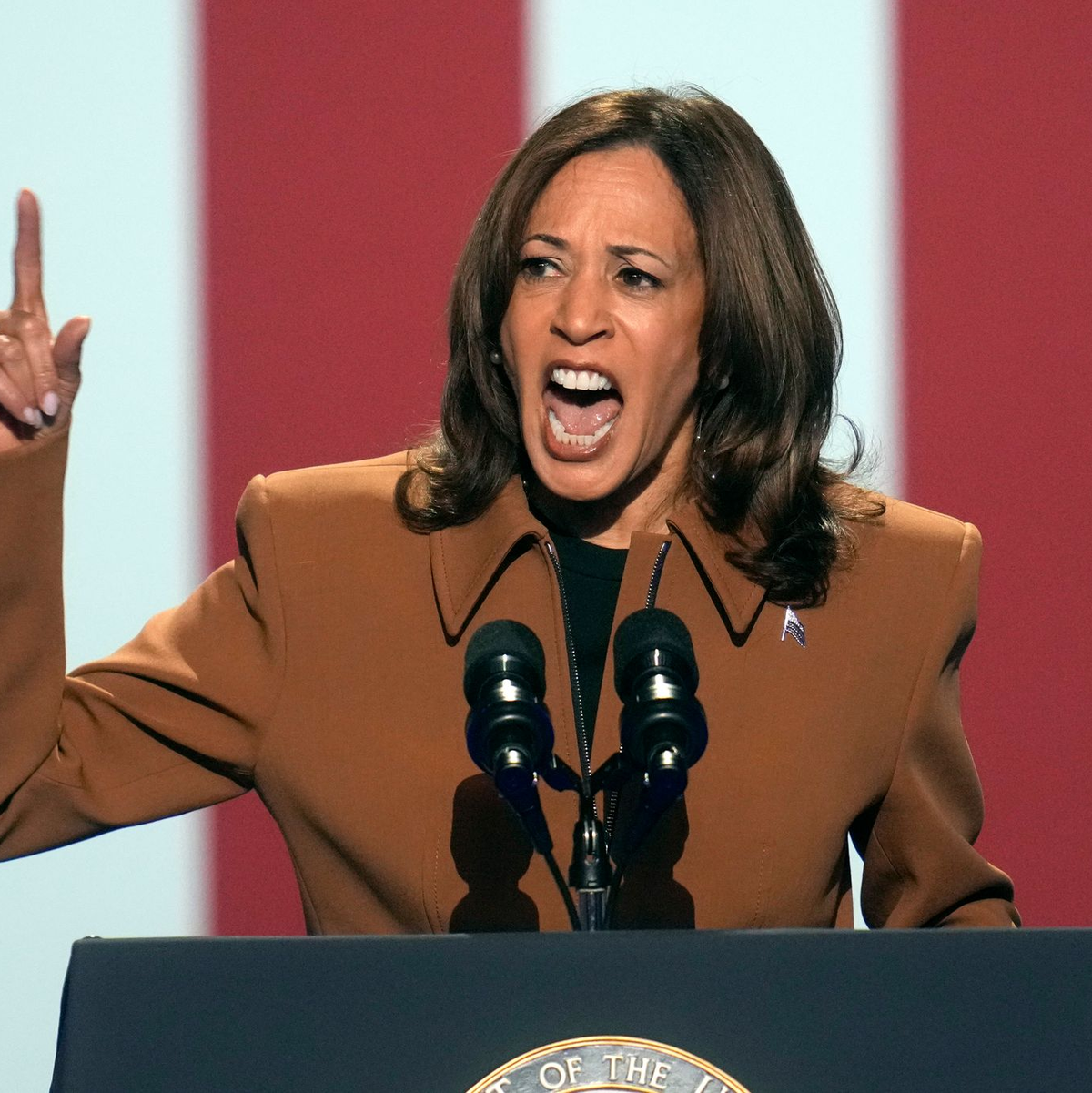 Inmitten der Show und Folklore im US-Wahlkampf zwischen Kamala Harris und ihrem Kontrahenten Donald Trump geht manchmal unter, was alles auf dem Spiel steht bei dieser Abstimmung. (Archivbild) - Foto: Paul Sancya/AP/dpa