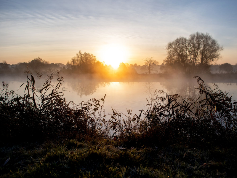 Das Herbstwetter ist auch in der kommenden Woche stabil - Foto: Hauke-Christian Dittrich/dpa