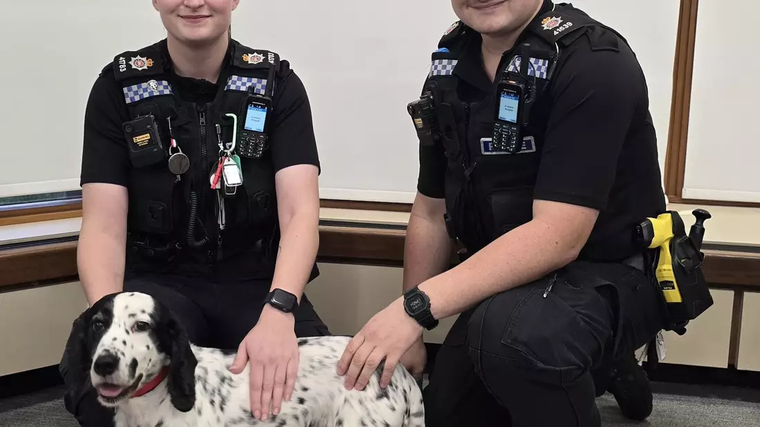 Die Polizei wurde auf den Hund aufmerksam, als jemand die Microchip-Daten änderte. - Bild: Surrey Police/PA Media/dpa