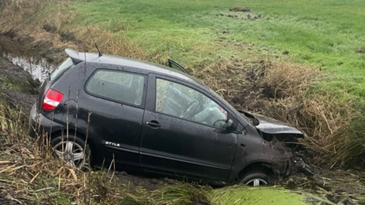 POL-CUX: PKW landet nach Ausweichmanöver nach Wildwechsel im Bereich Steinau im Graben (Lichtbild in der Anlage) - Foto: presseportal.de