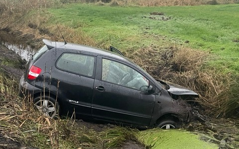 POL-CUX: PKW landet nach Ausweichmanöver nach Wildwechsel im Bereich Steinau im Graben (Lichtbild in der Anlage) - Foto: presseportal.de