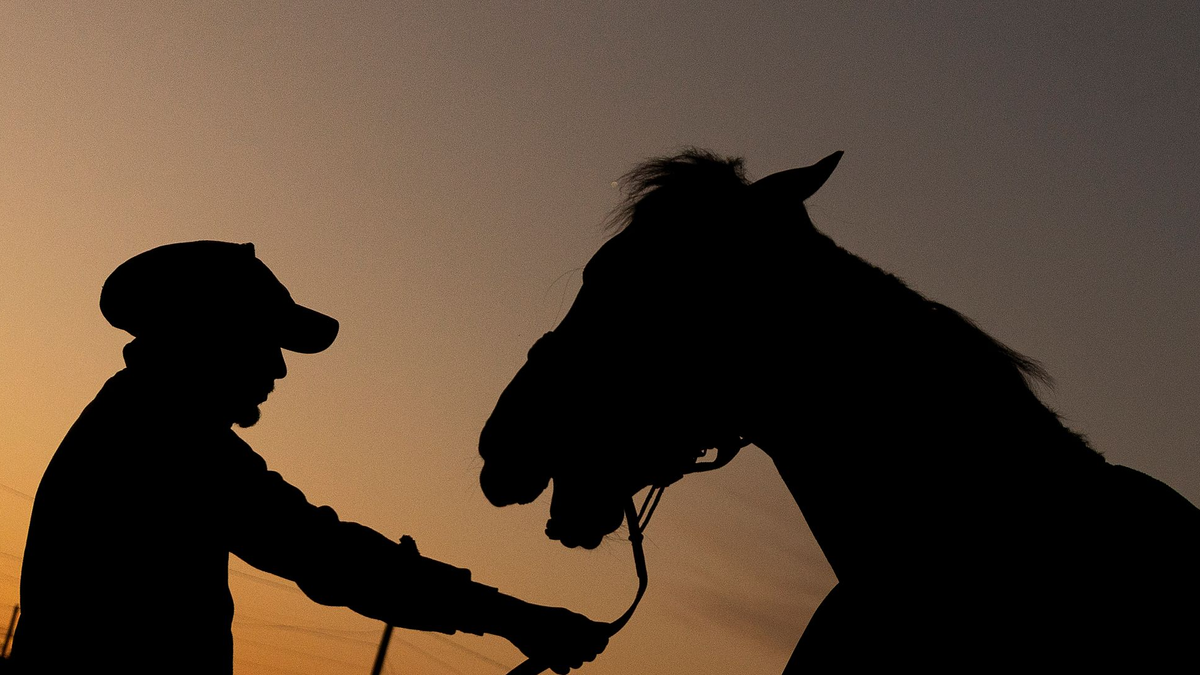 Kentucky ist bekannt für Pferderennen und Bourbon. Der Republikaner Trump hatte hier ein leichtes Spiel. (Archivbild)  - Foto: Evers/CSM via ZUMA Press Wire/dpa