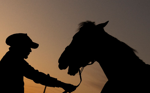 Kentucky ist bekannt für Pferderennen und Bourbon. Der Republikaner Trump hatte hier ein leichtes Spiel. (Archivbild)  - Foto: Evers/CSM via ZUMA Press Wire/dpa