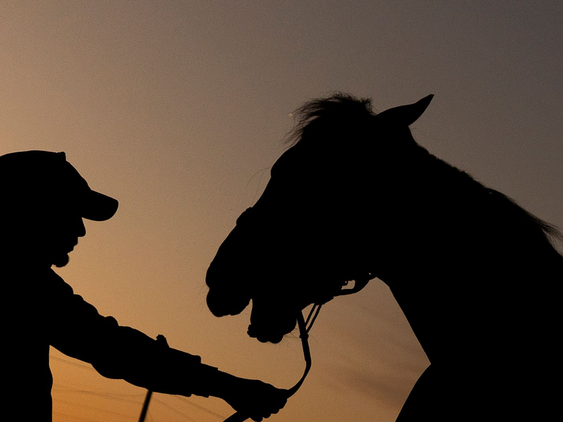 Kentucky ist bekannt für Pferderennen und Bourbon. Der Republikaner Trump hatte hier ein leichtes Spiel. (Archivbild) - Foto: Evers/CSM via ZUMA Press Wire/dpa