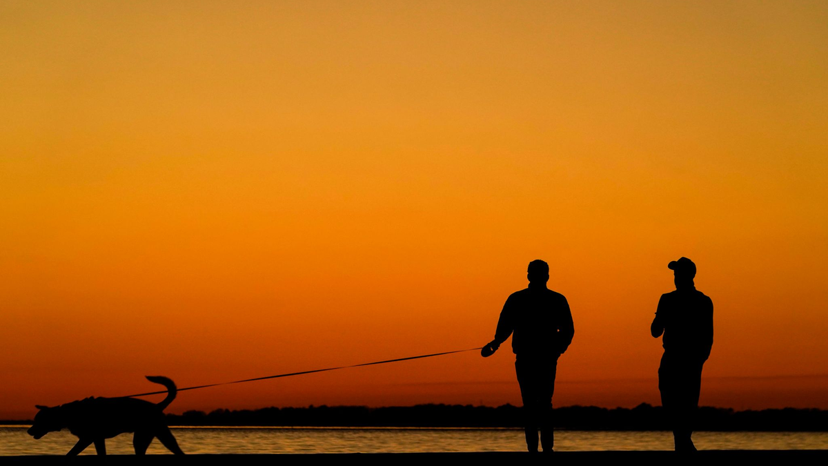 Mississippi im Süden der USA wählt traditionell republikanisch. (Archivbild) - Foto: Kiichiro Sato/AP/dpa