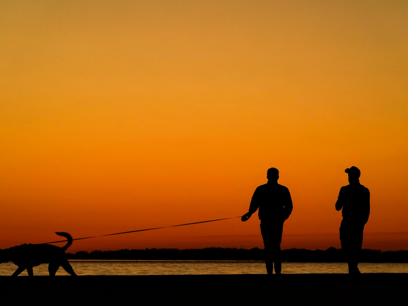 Mississippi im Süden der USA wählt traditionell republikanisch. (Archivbild) - Foto: Kiichiro Sato/AP/dpa