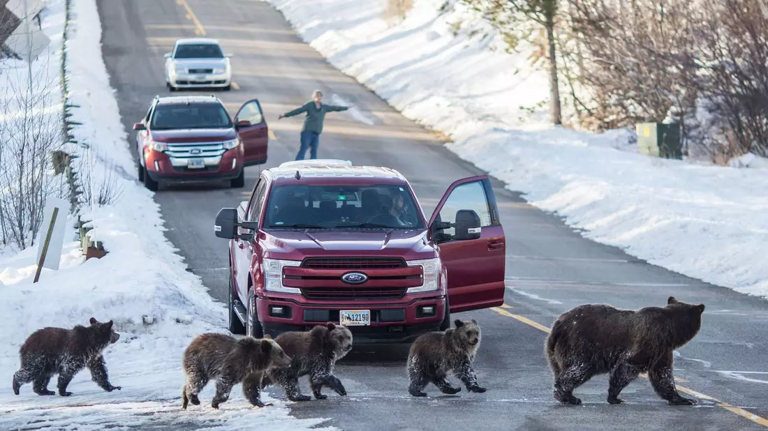Seit langem wählt Wyoming verlässlich republikanisch. (Archivbild) - Bild: Ryan Dorgan/Jackson Hole News & Guide via AP/dpa