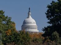 Blick auf das Kapitol in der US-Hauptstadt Washington. - Foto: Soeren Stache/dpa