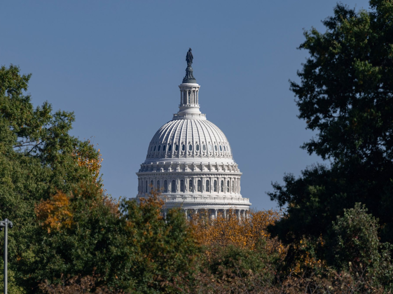 Blick auf das Kapitol in der US-Hauptstadt Washington. - Foto: Soeren Stache/dpa